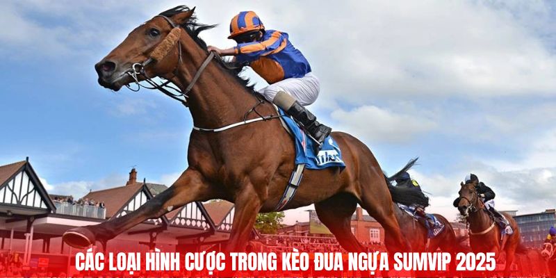Các loại hình cược trong kèo đua ngựa Sumvip 2025