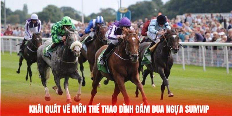 Khái quát về môn thể thao đình đám đua ngựa Sumvip