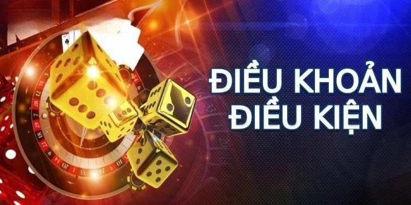 Lợi ích khi có Sumvip điều khoản điều kiện