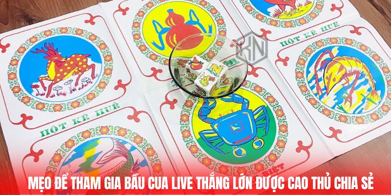 Mẹo để tham gia bầu cua live thắng lớn được cao thủ chia sẻ