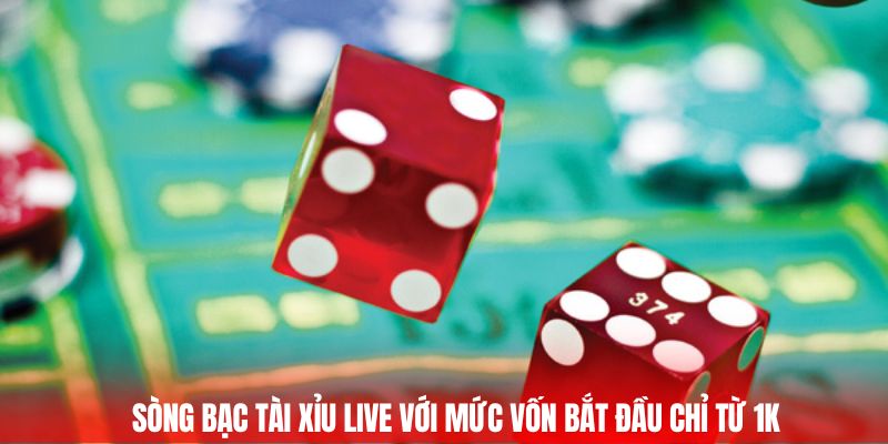 Sòng bạc tài xỉu live với mức vốn bắt đầu chỉ từ 1k