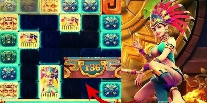 Một số tính năng đặc biệt hỗ trợ thành viên